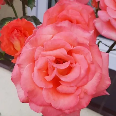 ŁÓDZKI DOM TURYSTYCZNY ŁÓDŹ Helenówek-fajne pokoje z łazienkami Kwatera prywatna