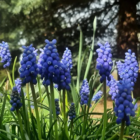 Łódzki Dom Noclegowy Helenówek ŁÓDŹ Łódź