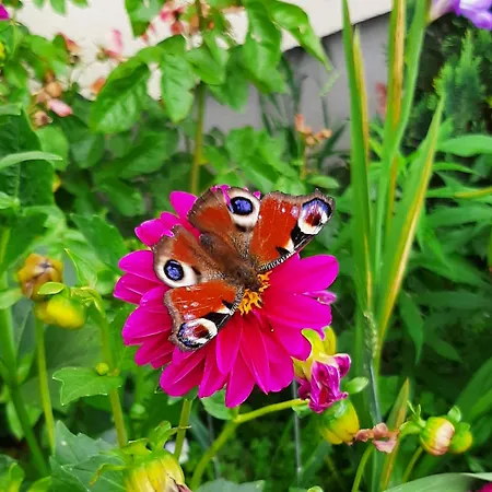 łódzki Dom Turystyczny Helenówek-fajne Z łazienkami Łódź