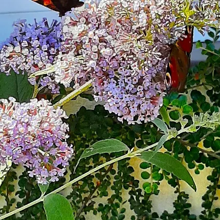 Privatunterkunft Lodzki Dom Turystyczny&Dla Firm-Lodz Helenowek-F-Vat *