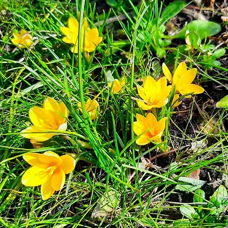 Goscinne Helenowek- Fvat - Parking Gasthuis Łódź