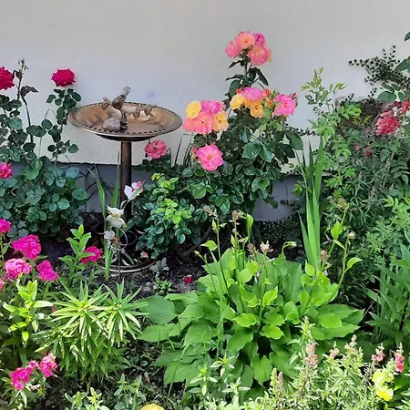 Privatunterkunft Lodzki Dom Turystyczny&Dla Firm-Lodz Helenowek-F-Vat