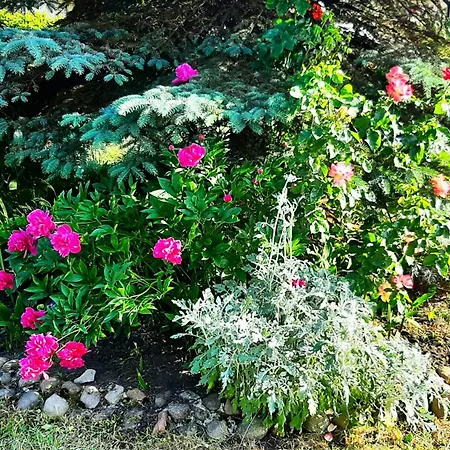 łódzki Dom Turystyczny Helenówek-fajne Z łazienkami * Łódź