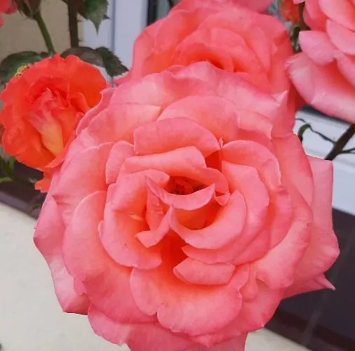 Goscinne Helenowek- Fvat - Parking Vendégház