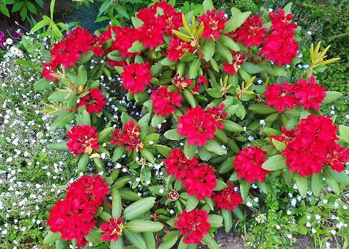 Goscinne Helenowek- Fvat - Parking Vendégház