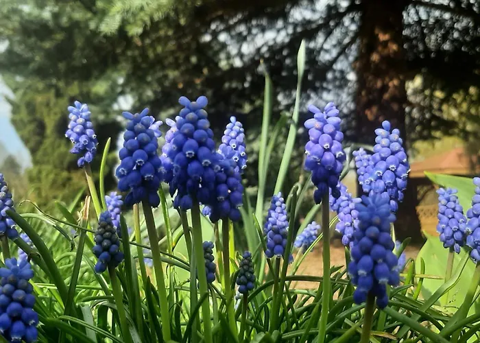 Łódzki Dom Noclegowy Helenówek ŁÓDŹ Łódź