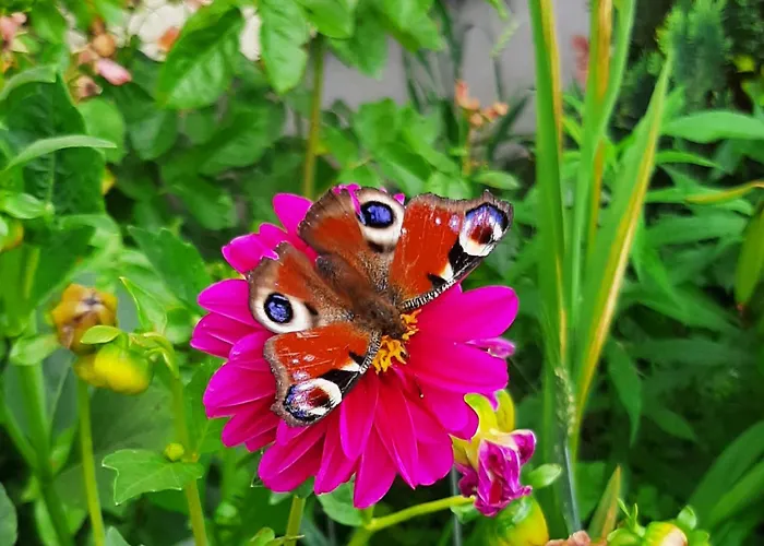 Łódzki Dom Noclegowy Helenówek ŁÓDŹ Łódź