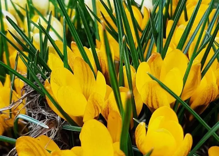 Łódzki Dom Noclegowy Helenówek ŁÓDŹ Łódź