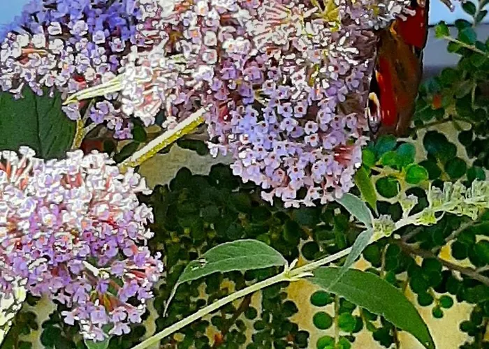 Casa de hóspedes Łódzki Dom Noclegowy Helenówek ŁÓDŹ 3*