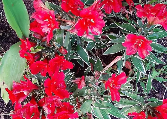 Goscinne Helenowek- Fvat - Parking 3*