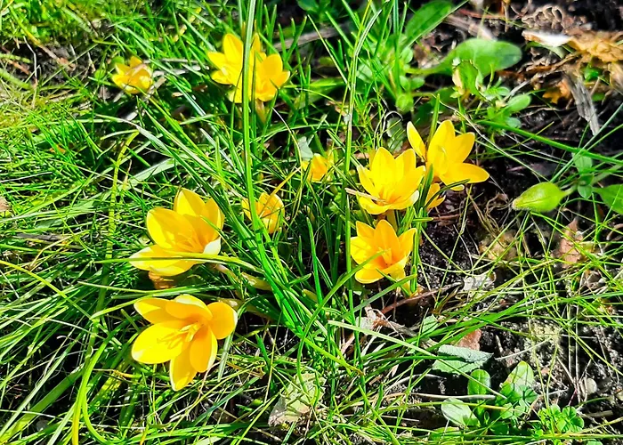Goscinne Helenowek- Fvat - Parking Vendégház Łódź