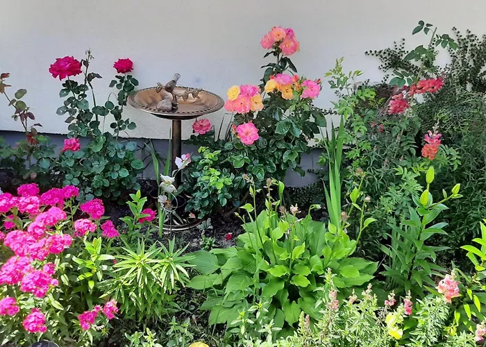 Casa de hóspedes Łódzki Dom Noclegowy Helenówek ŁÓDŹ