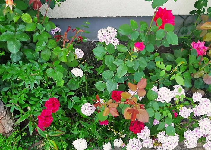 Łódzki Dom Noclegowy Helenówek ŁÓDŹ Casa de hóspedes 3*