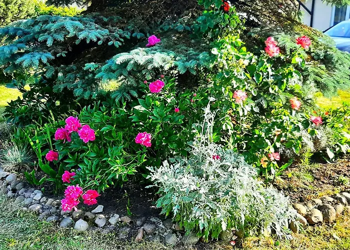 Goscinne Helenowek- Fvat - Parking 3* Łódź